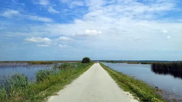 Meet some wildlife while taking a trip down the Apopka Wildlife Drive.