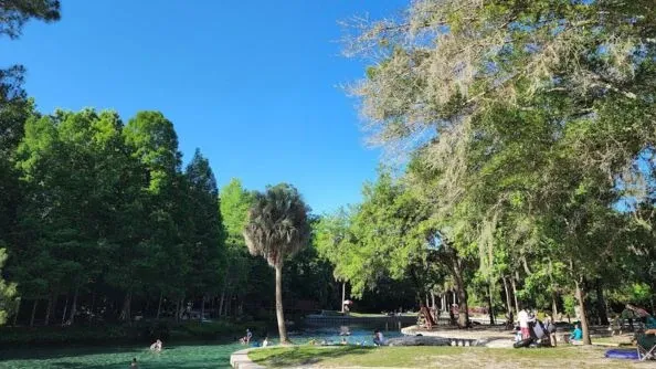Relax and float on a tube down the springs at Kelly Park.